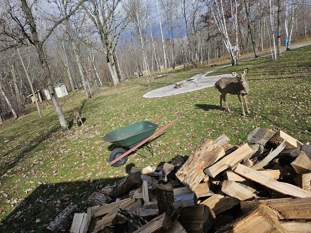 Trusted outdoor landscaping in Minong, WI - Yardwork Lawn Care Services