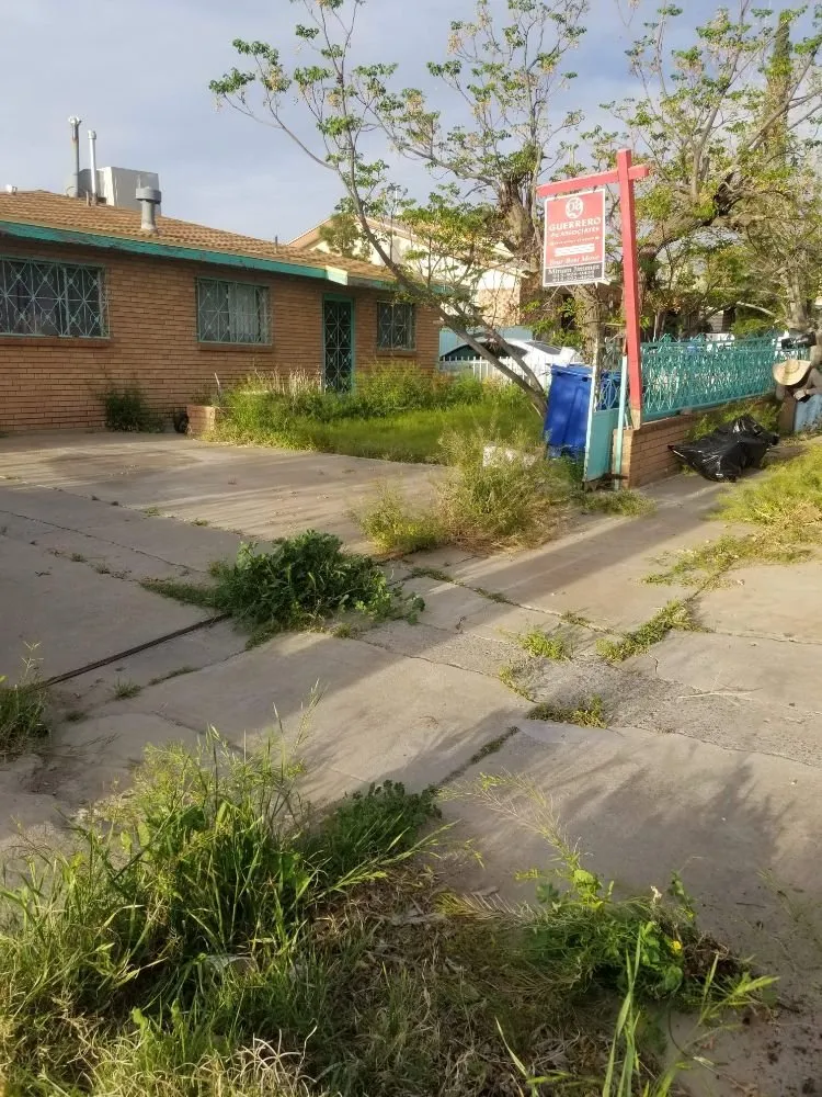 Reliable yard cleanup service for year-round maintenance in El Paso, TX by Yardwork Services