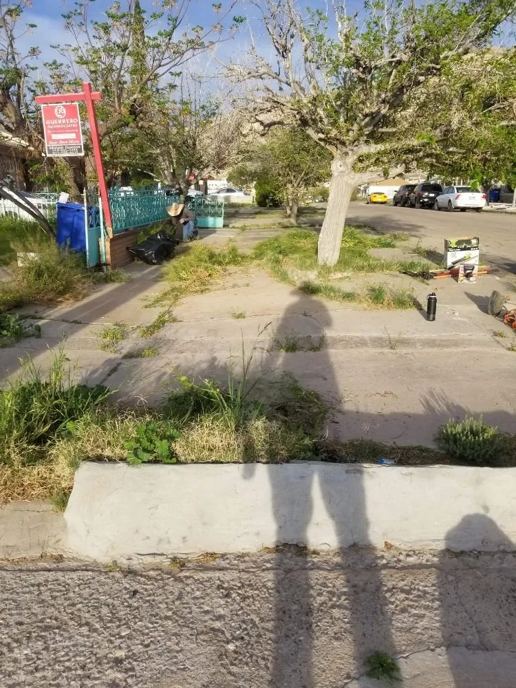 Expert lawn mowing service in El Paso, TX - Yardwork Services