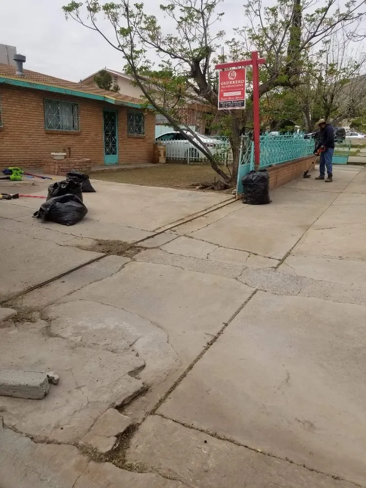 Affordable lawn care service for beautiful yards across El Paso, TX - Yardwork Services