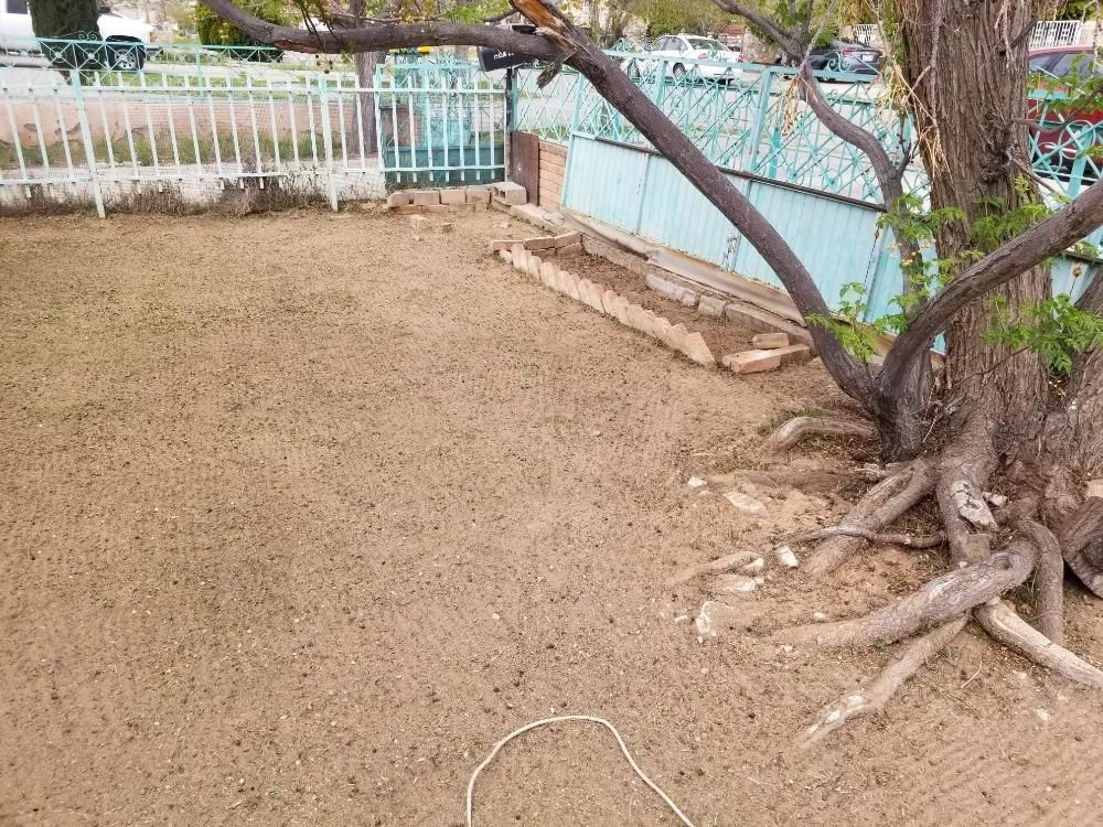 Reliable outdoor landscaping for year-round maintenance across El Paso, TX - Yardwork Services