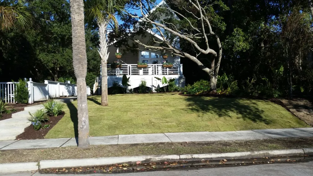 Local yard maintenance experts serving Mount Pleasant, SC - YardWorks