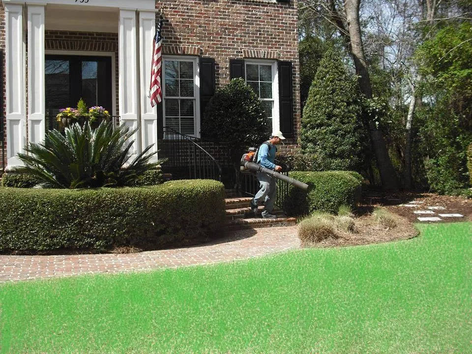 Affordable yard maintenance for residential properties in Mount Pleasant, SC by YardWorks