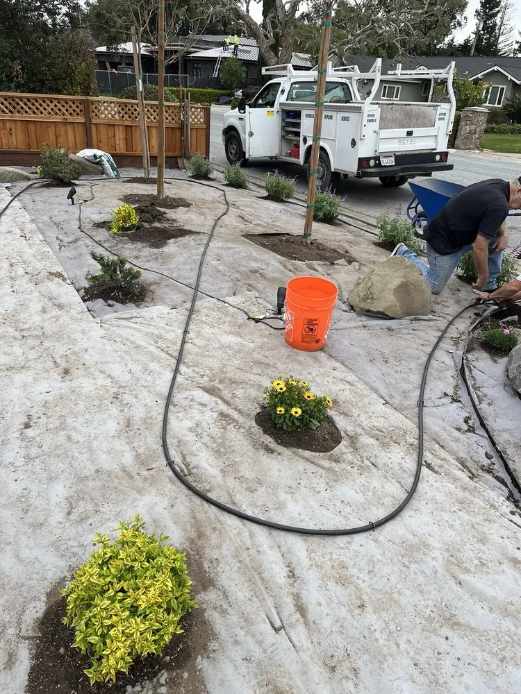 Reliable lawn care service for homes in San Jose, CA by Yardworks