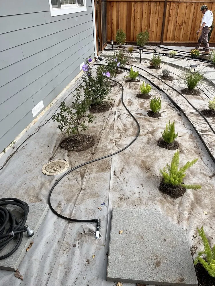 Local landscape design for homes in San Jose, CA by Yardworks