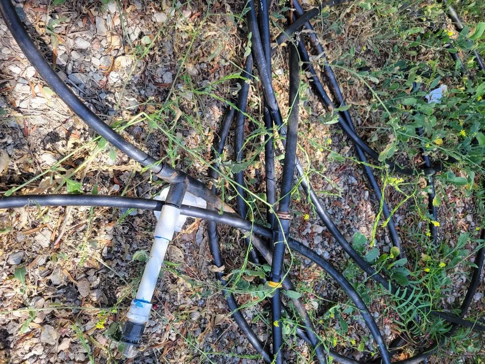 Top-rated landscape design in San Diego, CA - Yardworx Landscaping