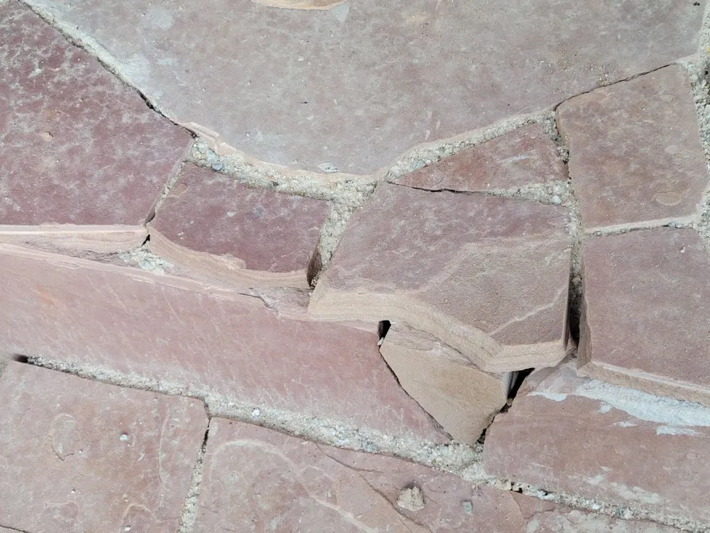 Expert landscaping services experts serving San Diego, CA - Yardworx Landscaping