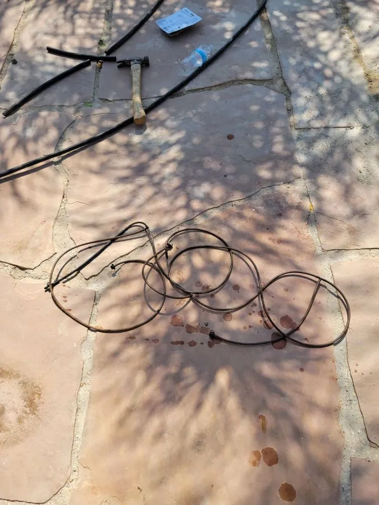 Professional yard cleanup service in San Diego, CA by Yardworx Landscaping