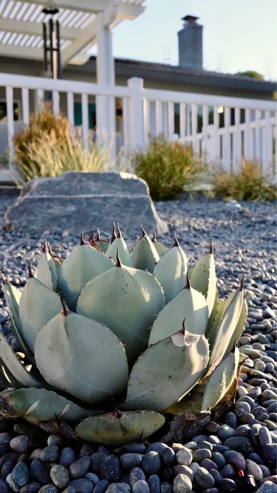 Local lawn care service experts serving San Diego, CA - Yardworx Landscaping