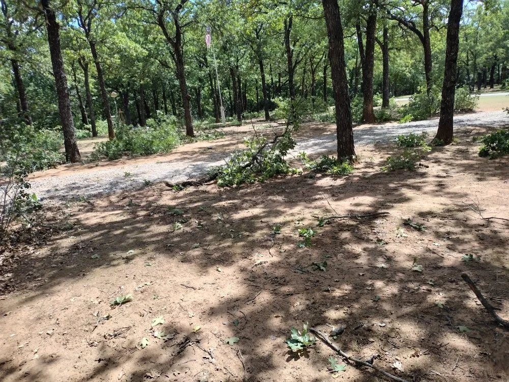 Expert yard maintenance experts serving Hastings, OK - Yardz lawn care
