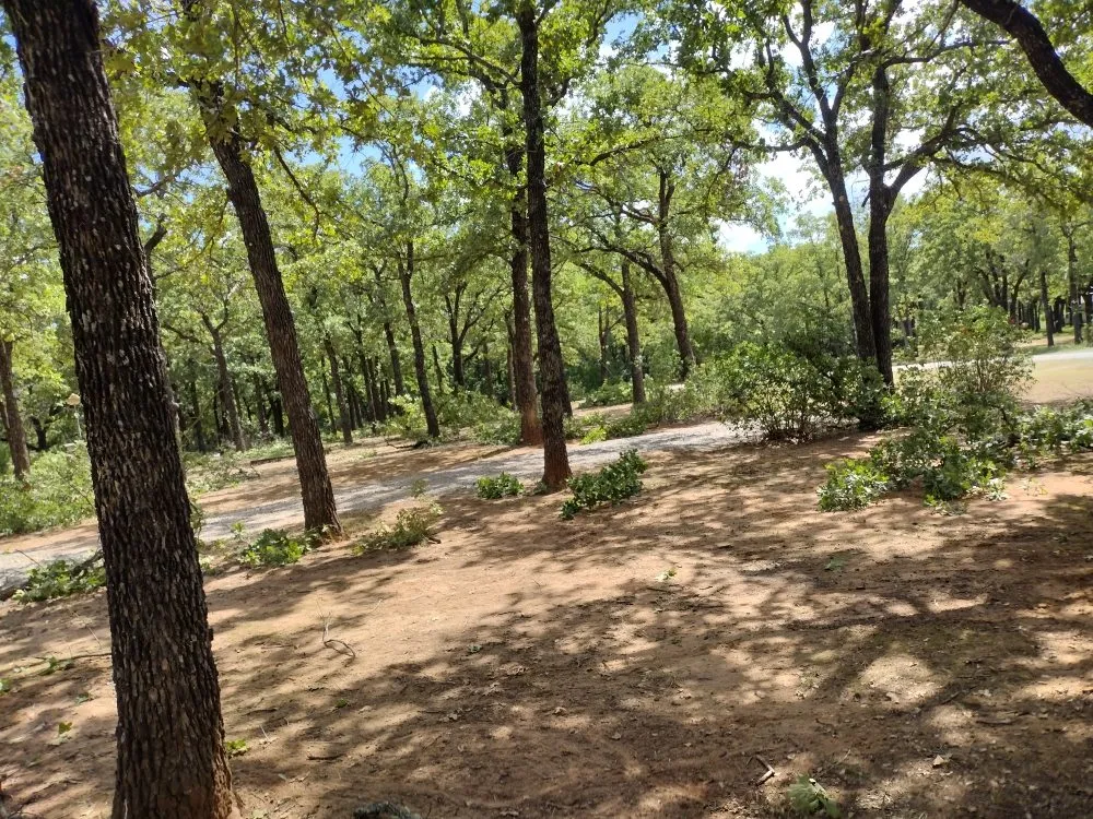 Top-rated yard maintenance in Hastings, OK - Yardz lawn care
