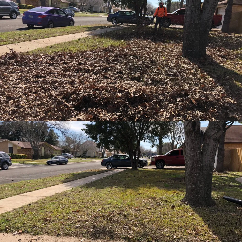 Custom lawn care service in Killeen, TX - Yardz R Us