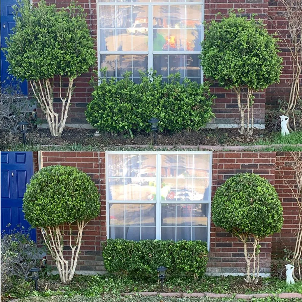 Local outdoor landscaping in Killeen, TX by Yardz R Us