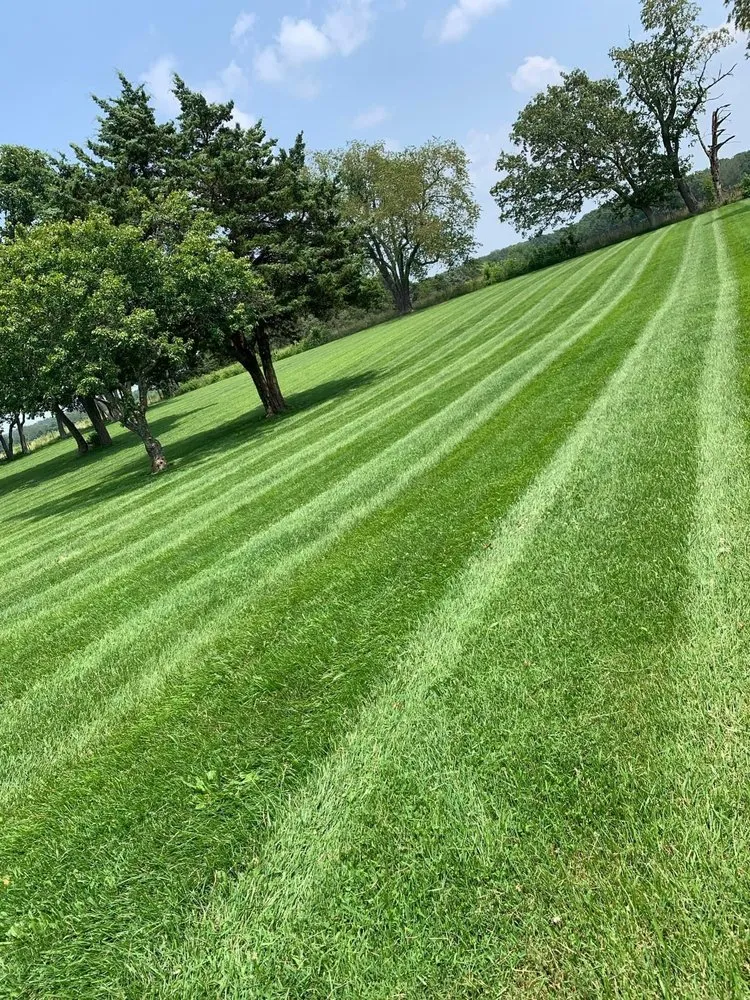 Trusted landscape installation in Mountain Grove, MO by Yarger Land Services