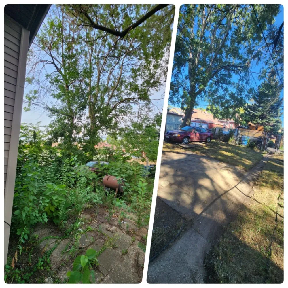 Local residential landscaping in Calumet Park, IL - Yari's Lawn & Mulch