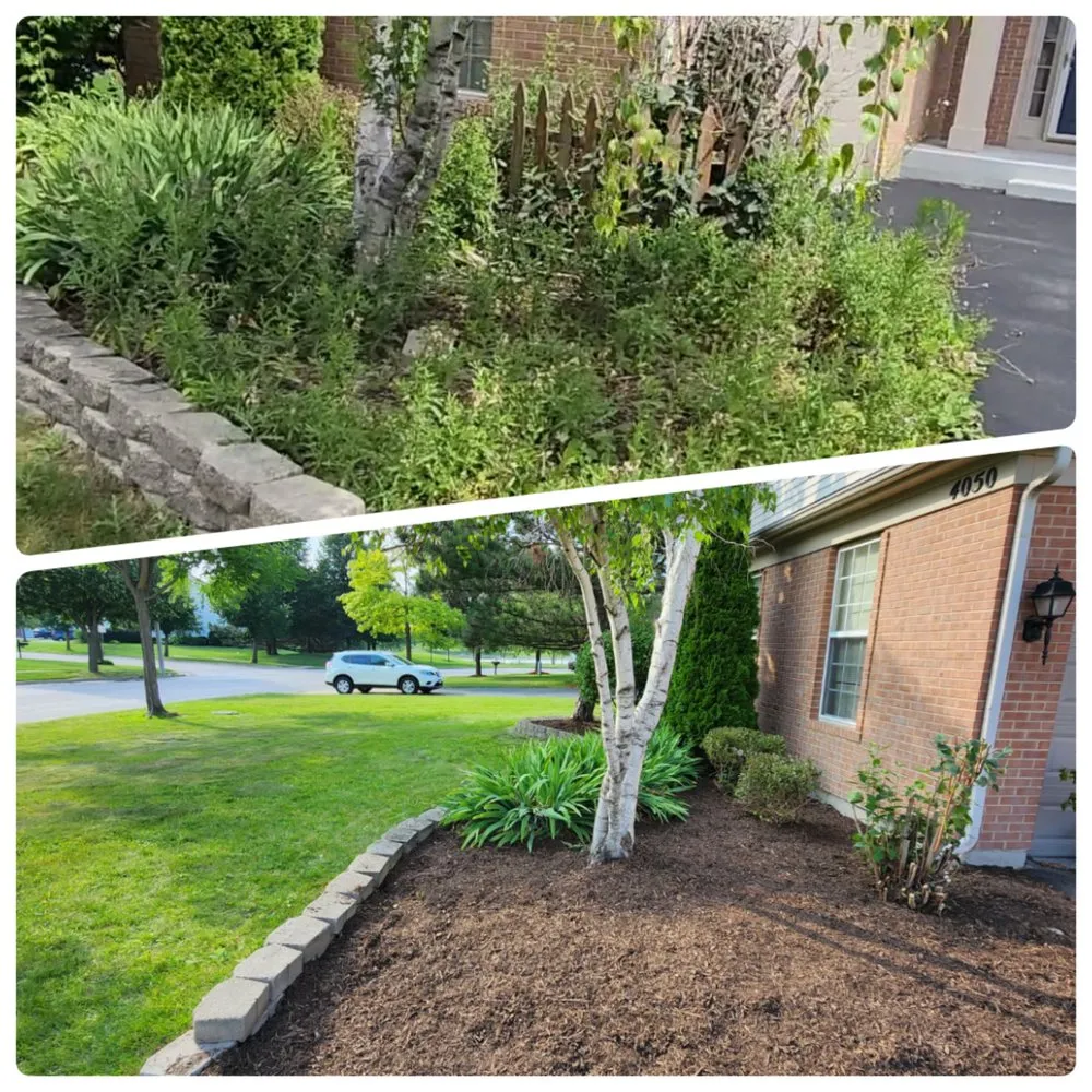 Reliable yard cleanup service in Calumet Park, IL by Yari's Lawn & Mulch