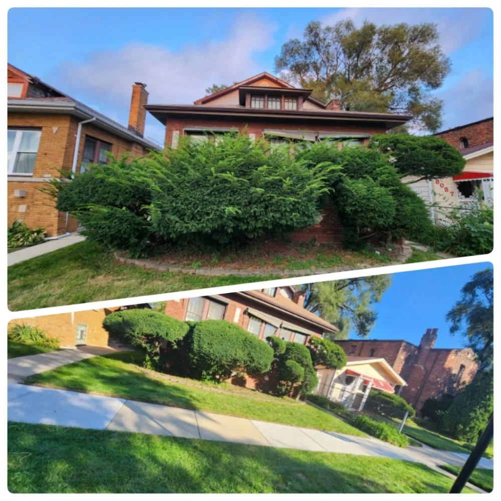 Affordable outdoor landscaping for homes across Calumet Park, IL - Yari's Lawn & Mulch