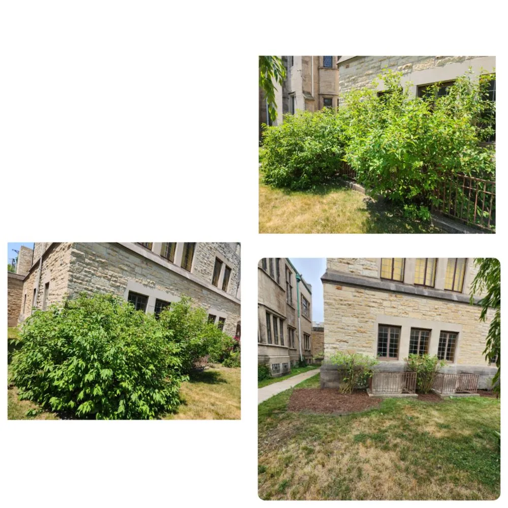 Trusted garden landscaping in Calumet Park, IL by Yari's Lawn & Mulch