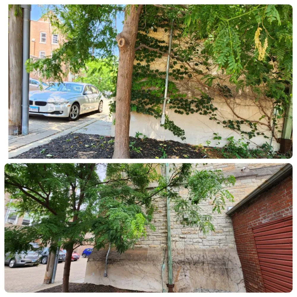 Affordable yard maintenance for beautiful yards in Calumet Park, IL by Yari's Lawn & Mulch