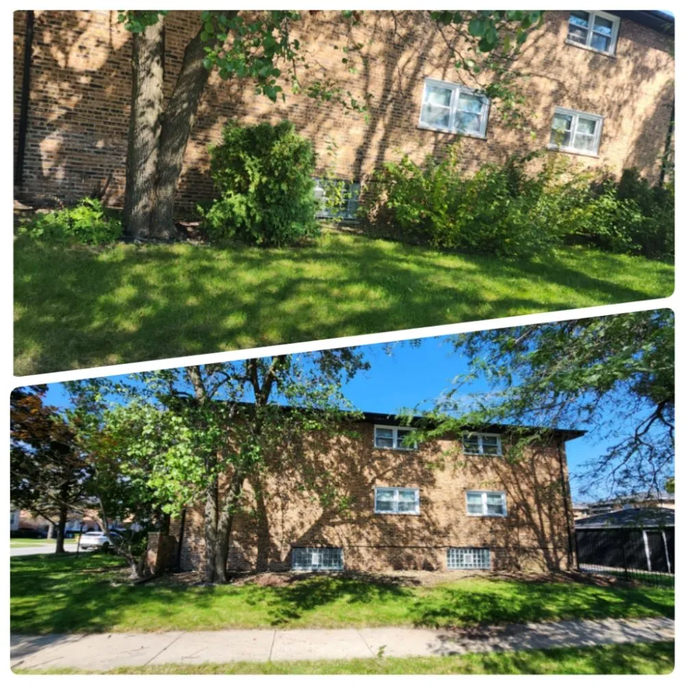 Expert yard cleanup service for year-round maintenance in Calumet Park, IL by Yari's Lawn & Mulch