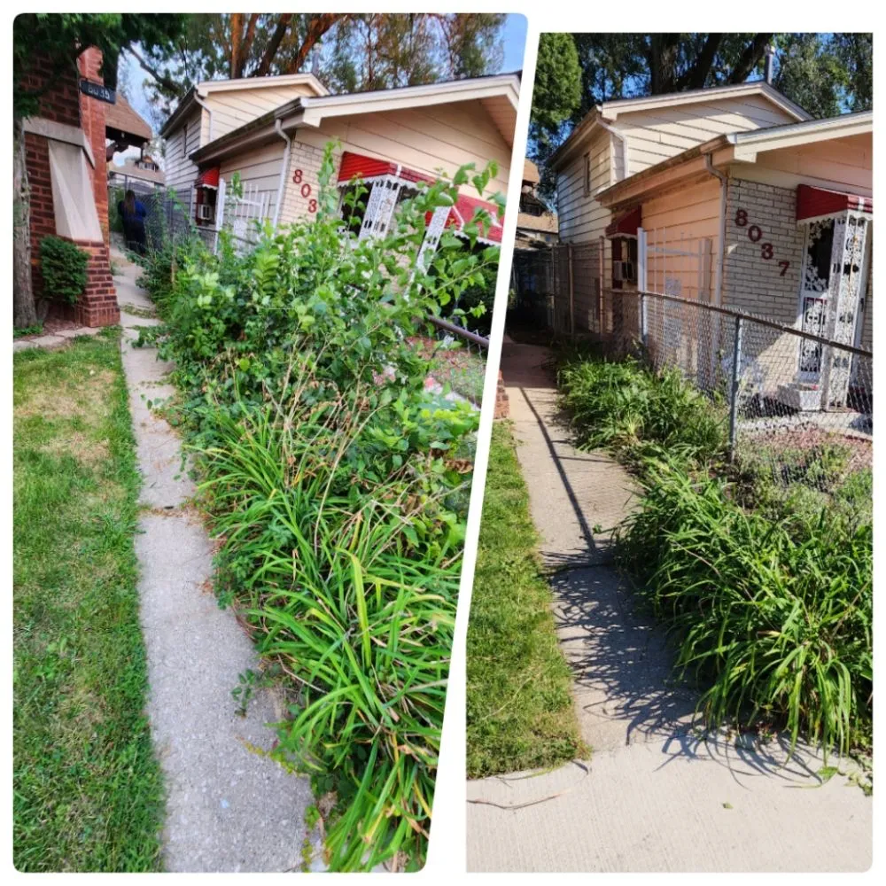 Professional landscape design in Calumet Park, IL by Yari's Lawn & Mulch