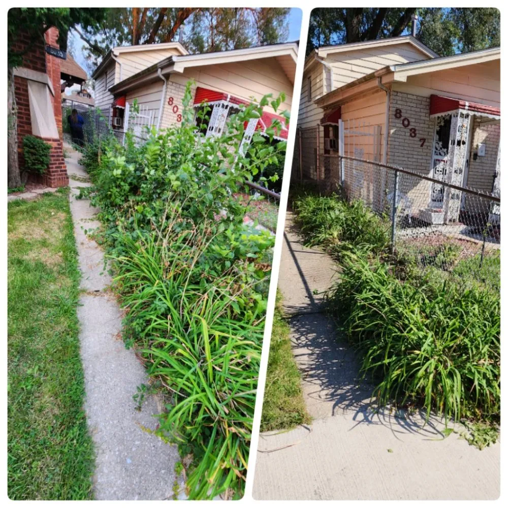 Local yard maintenance in Calumet Park, IL - Yari's Lawn & Mulch