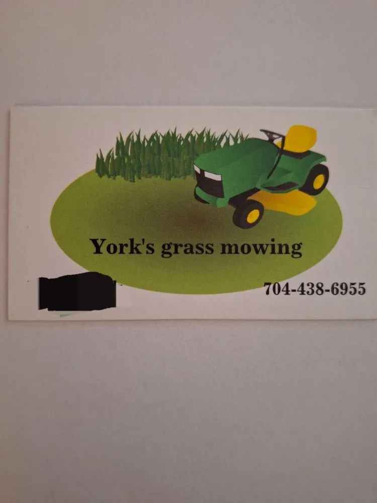 Trusted yard cleanup service in Albemarle, NC - Yark's Grass Mowing