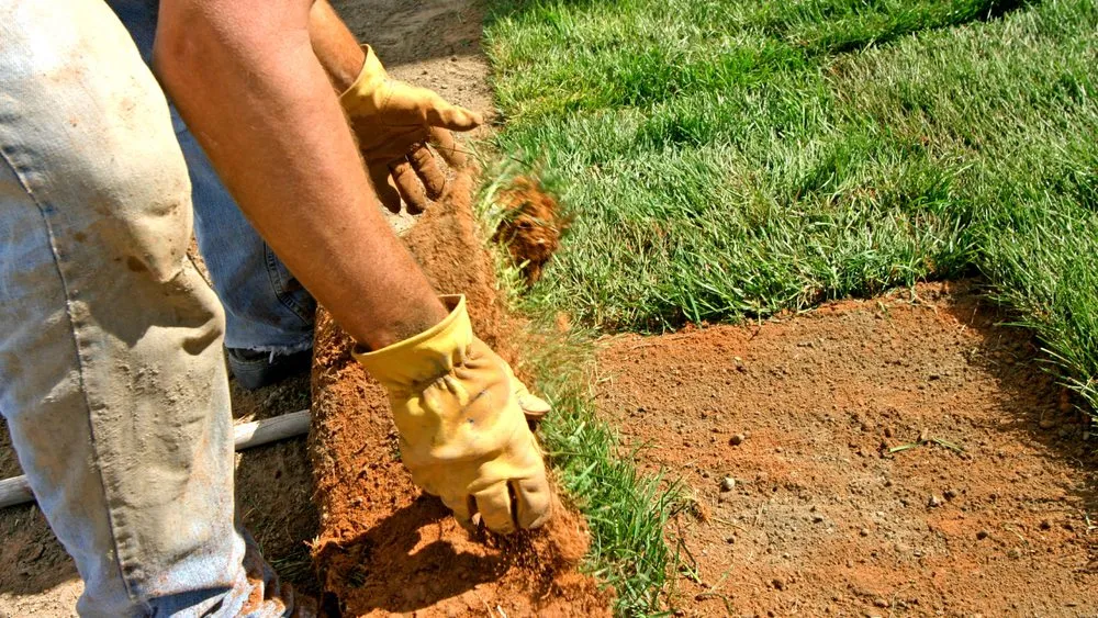 Trusted yard maintenance experts serving Yarmouth, ME - Yarmouth Landscaping