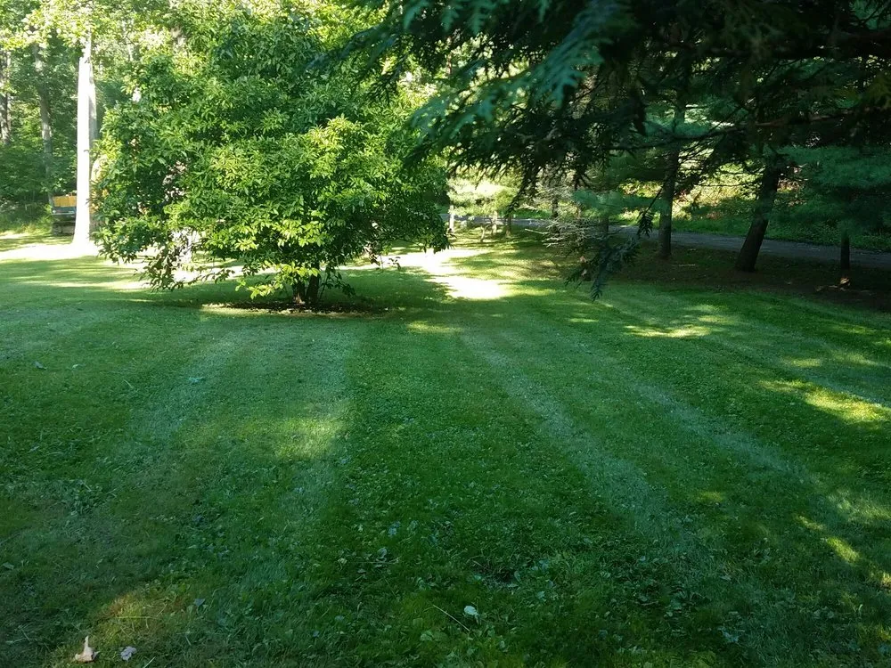 Trusted yard cleanup service for outdoor upgrades in Montague, NJ by Yarosz Landscaping
