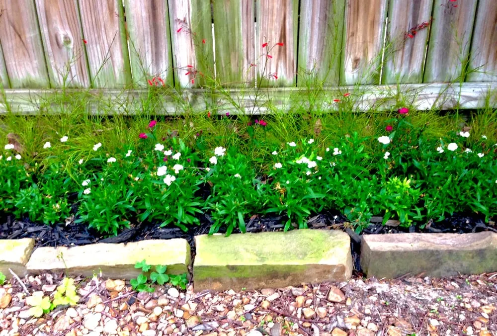 Expert yard cleanup service in Austin, TX - Yarrow Landscaping