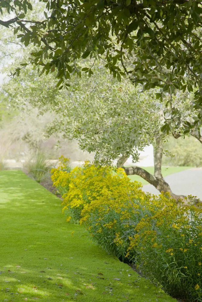 Trusted residential landscaping for residential properties across Austin, TX - Yarrow Landscaping