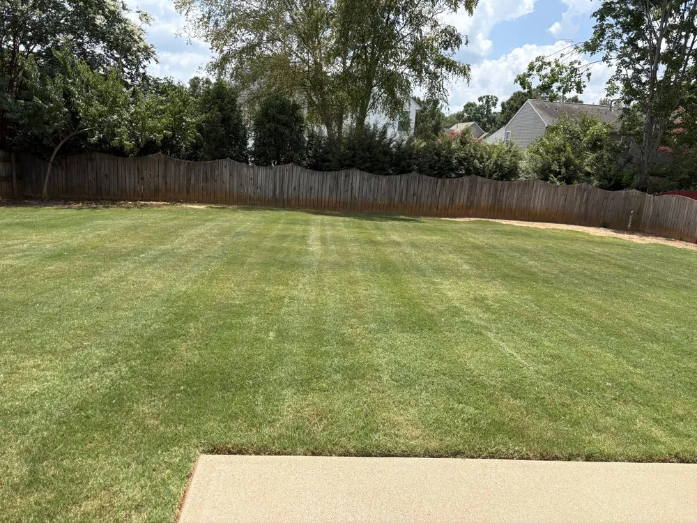 Local yard cleanup service in Greer, SC - Yas Landscaping