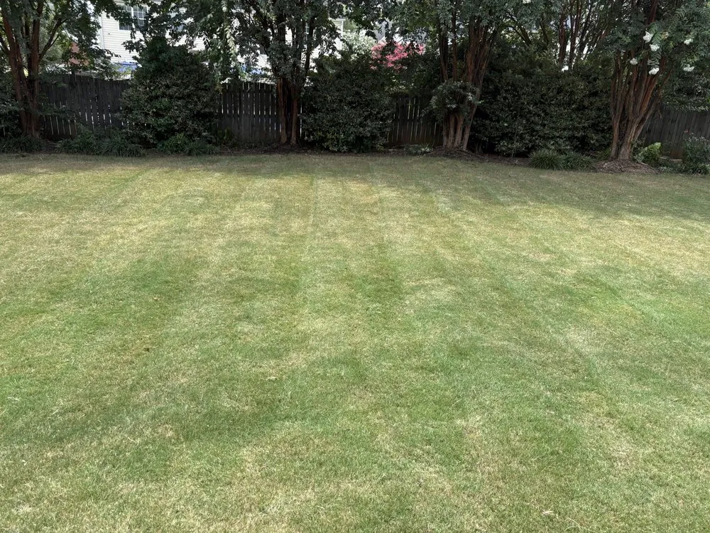 Custom yard cleanup service experts serving Greer, SC - Yas Landscaping