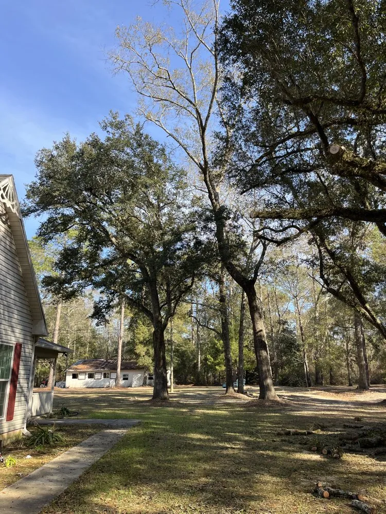 Expert yard cleanup service in Chipley, FL - Yates Land Management and More