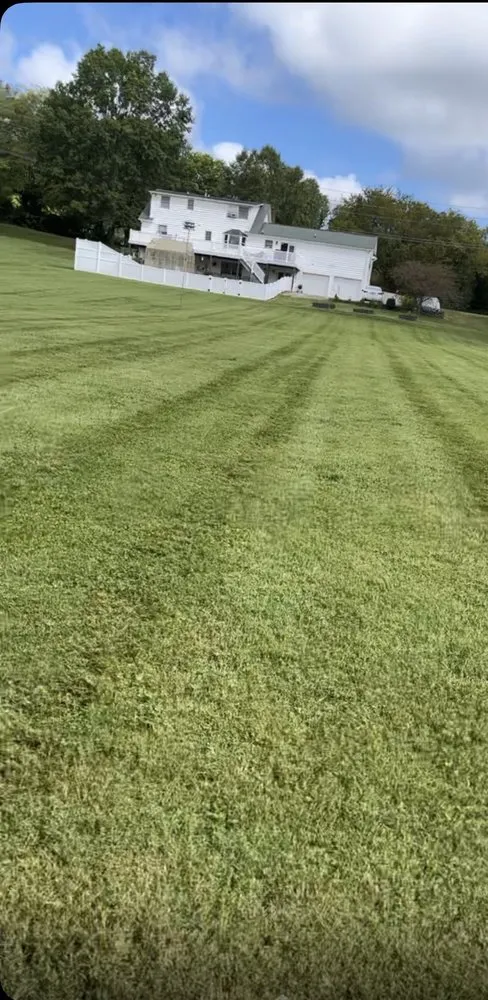 Trusted yard maintenance experts serving Jackson, MO - Yates Lawn Care