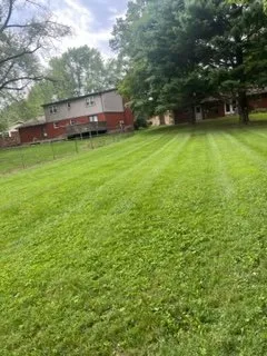 Professional lawn care service for homes across Jackson, MO - Yates Lawn Care