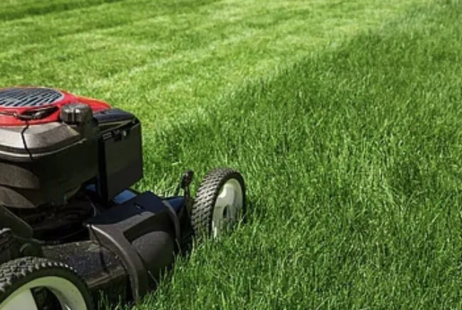 Affordable lawn mowing service experts serving Jackson, MO - Yates Lawn Care