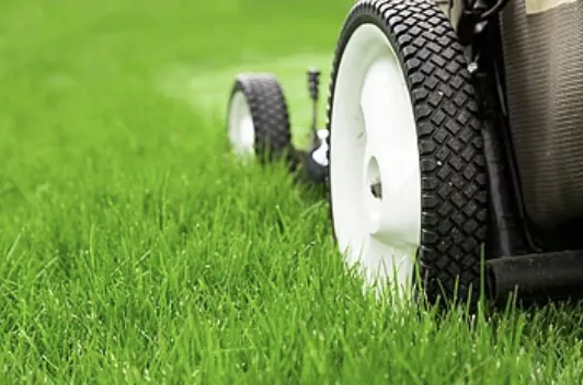 Top-rated garden landscaping near you in Jackson, MO by Yates Lawn Care