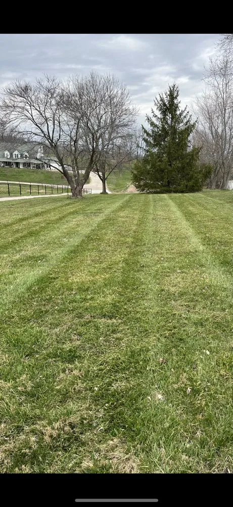 Professional yard maintenance in Jackson, MO - Yates Lawn Care