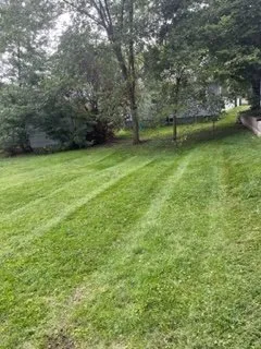 Top-rated yard cleanup service in Jackson, MO by Yates Lawn Care