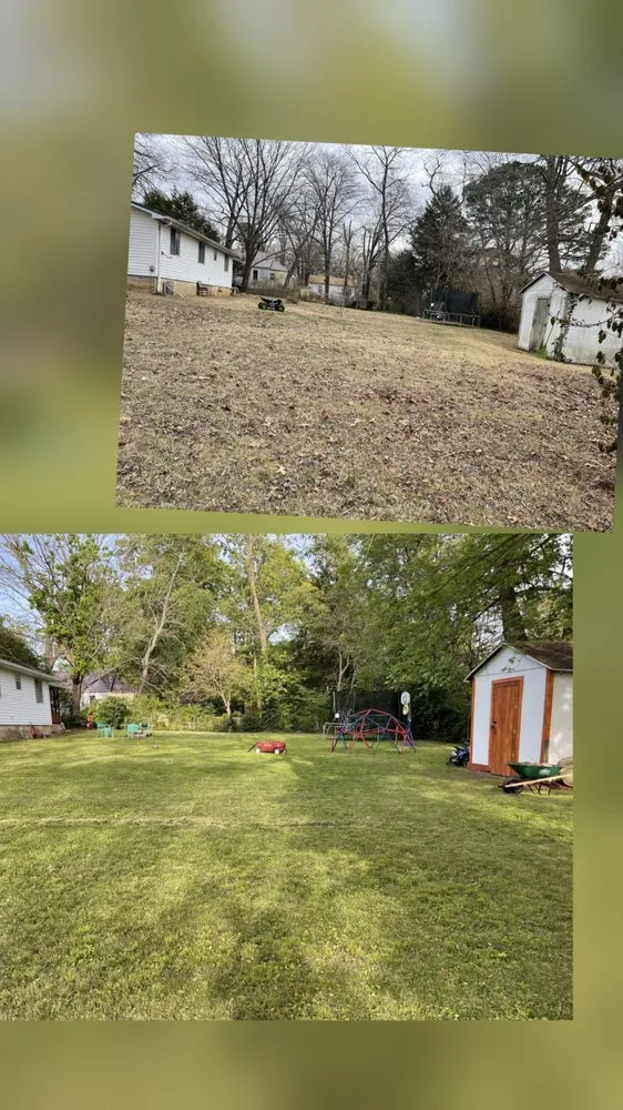 Reliable landscape design for year-round maintenance across Mountain View, MO - Yates Scapes