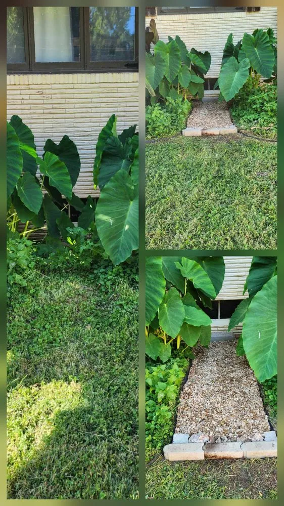 Top-rated garden landscaping in Mountain View, MO - Yates Scapes