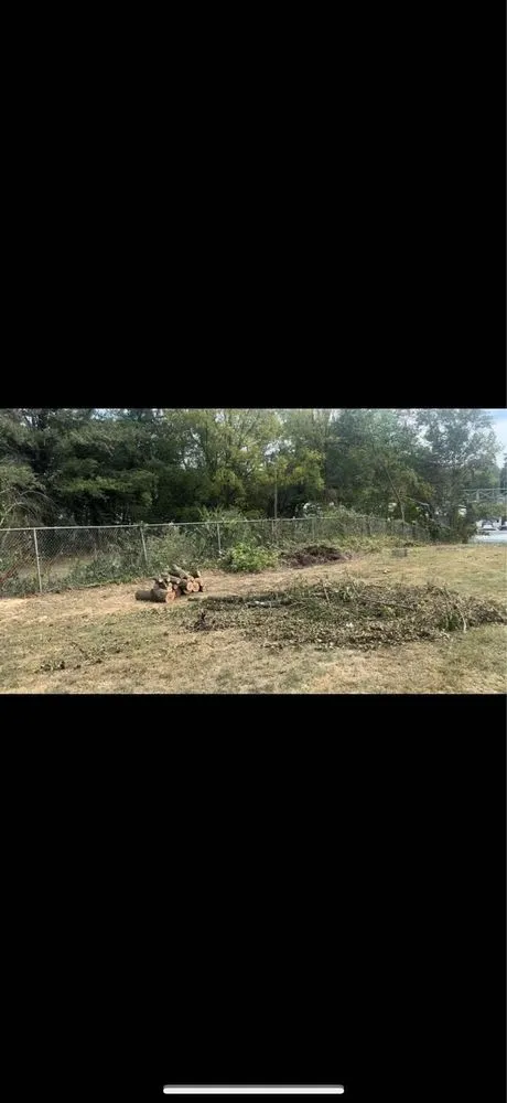 Custom yard maintenance for homes in Louisa, KY by Yaunks Elite Lawncare and Tree Services