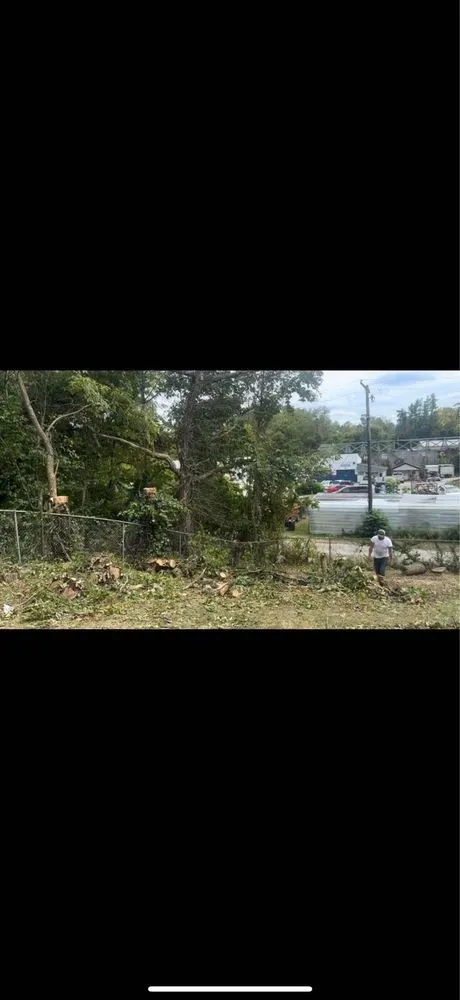 Top-rated yard cleanup service for homes across Louisa, KY - Yaunks Elite Lawncare and Tree Services