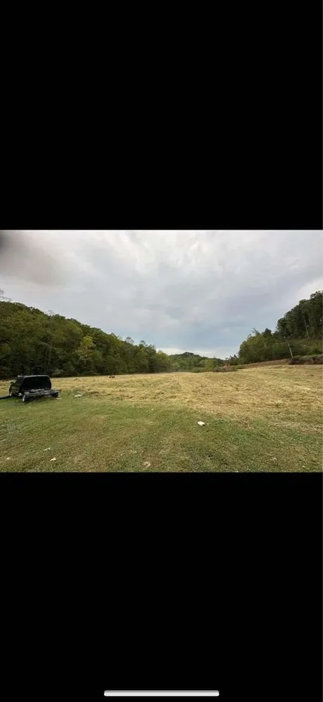 Expert yard cleanup service for year-round maintenance across Louisa, KY - Yaunks Elite Lawncare and Tree Services