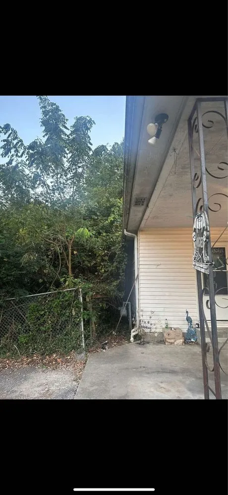 Trusted yard cleanup service experts serving Louisa, KY - Yaunks Elite Lawncare and Tree Services