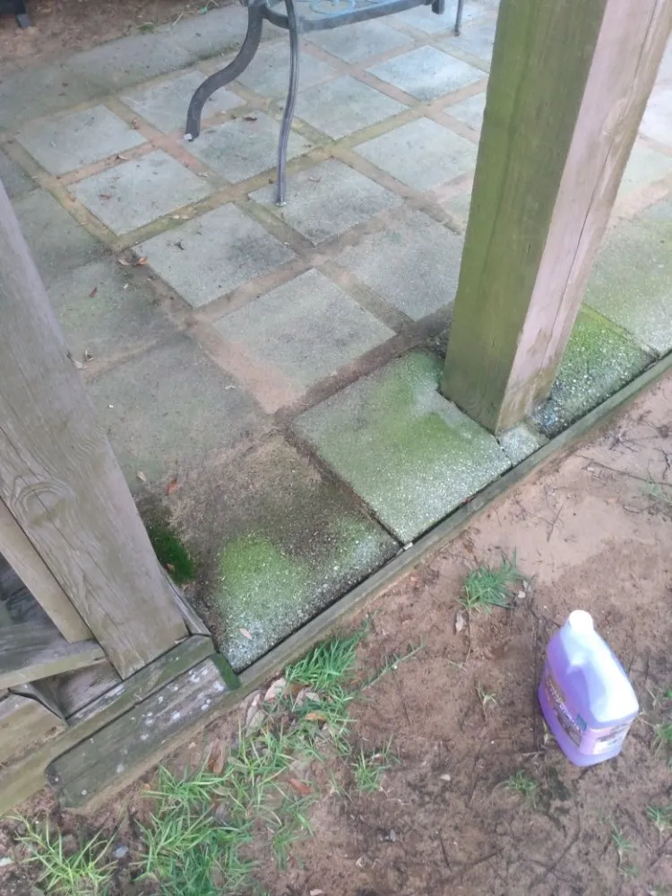 Local yard maintenance for homes in Oak Island, NC by Yaupon Property Maintenance