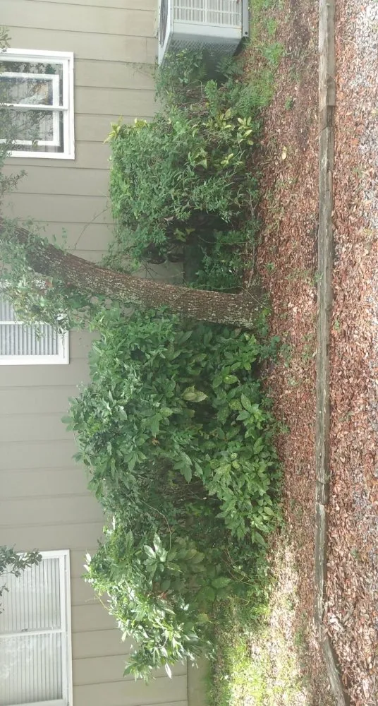 Local residential landscaping experts serving Oak Island, NC - Yaupon Property Maintenance