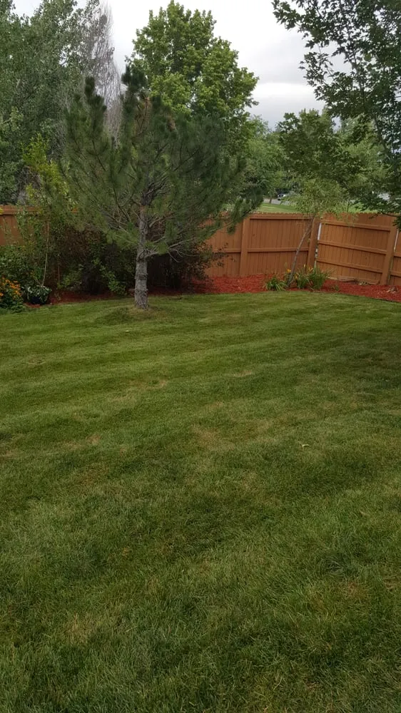 Top-rated yard cleanup service experts serving Aurora, CO - Yawdfusion Grounds and Housekeeping services