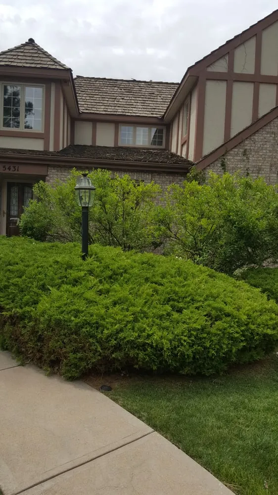 Affordable yard maintenance in Aurora, CO - Yawdfusion Grounds and Housekeeping services